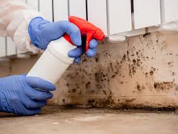 Best Commercial Mold Inspection  in Soh Jordan, UT